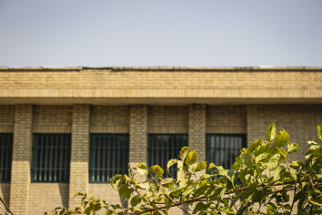 دیوار آجری